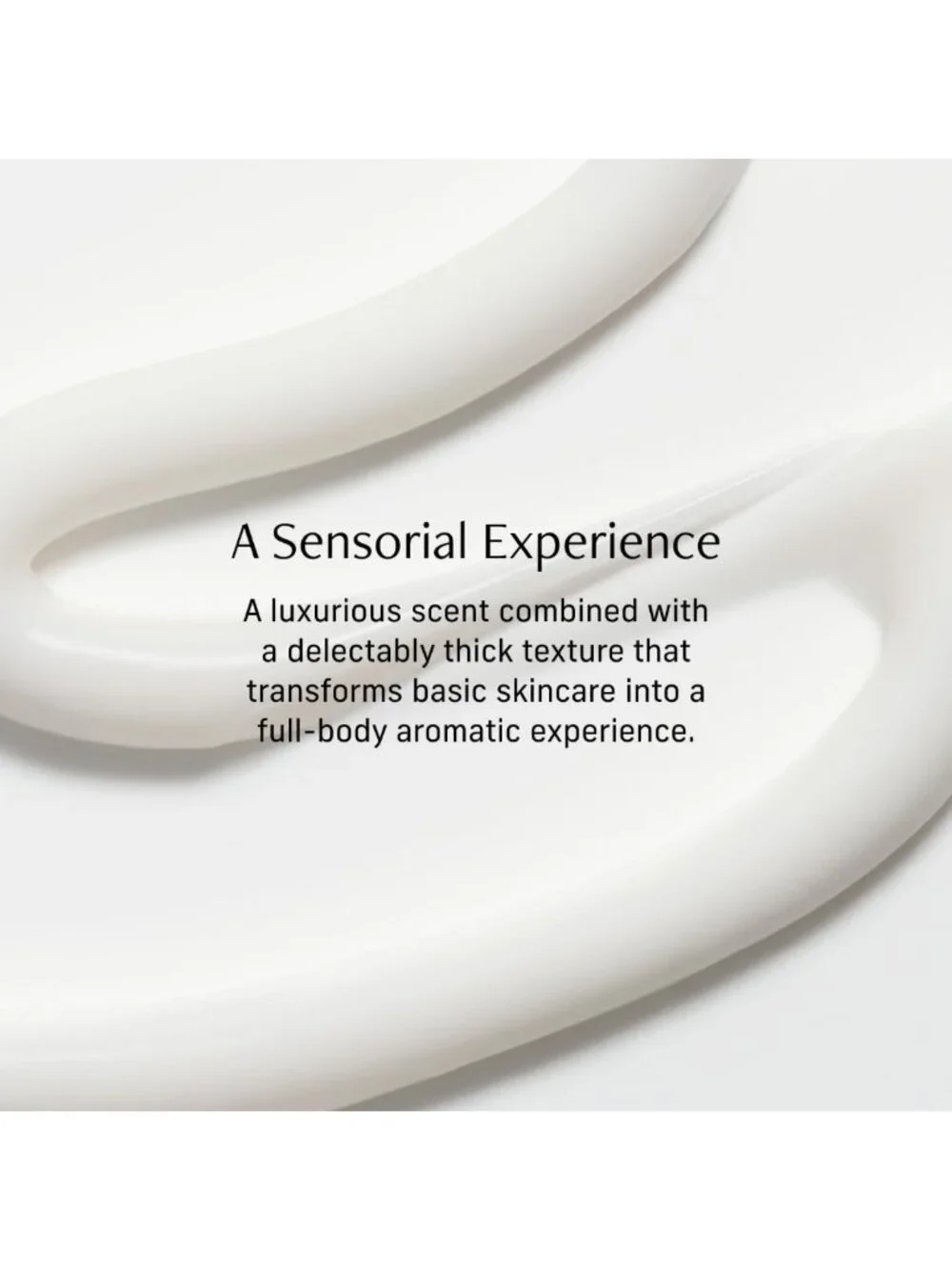 Nutrient-Rich Vanilla Body Cream - Non-Greasy 48-Hour Moisture, Hydrating Lotion